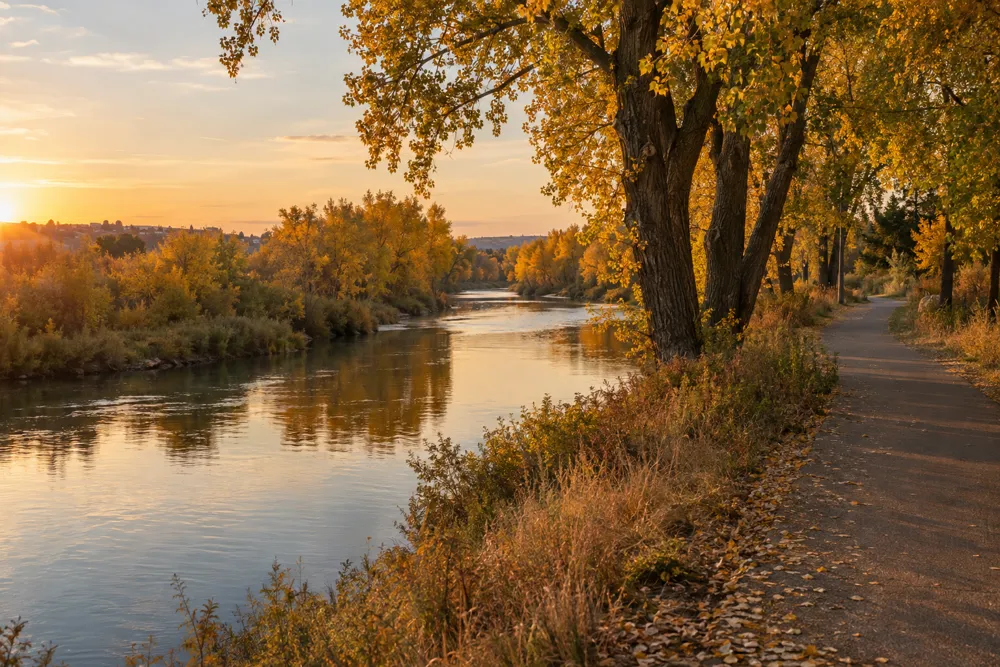 Boise River greenbelt with golden cottonwoods in fall
